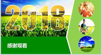 2018互聯(lián)網+農副產品市場推廣企業(yè)營銷策劃方案